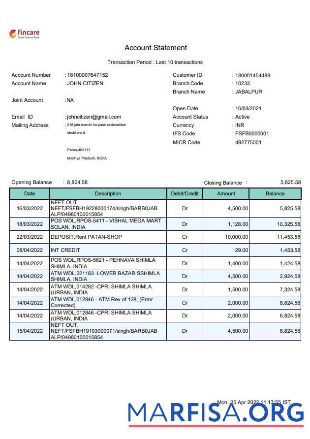 Blank India Fincare bank statement word example
